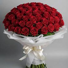 Букет 101 Красная роза Блэк Мэджик #REPLACE_PRED# Чебургольской