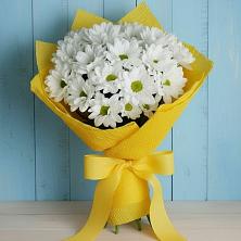 Букет цветов из:  Хризантемы в Чебургольской
