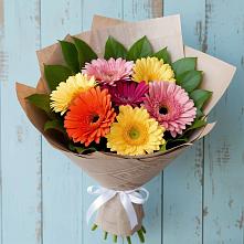 Букет цветов из:  Герберы #REPLACE_PRED# Чебургольской