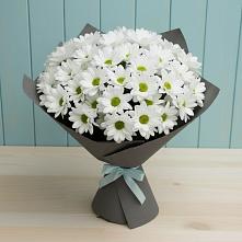 Букет цветов из:  Хризантемы #REPLACE_PRED# Чебургольской