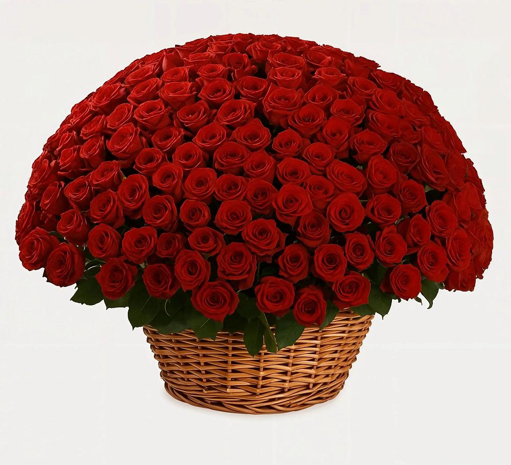 Премиум букет из: Розы в Чебургольской