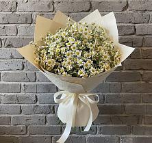 Букет цветов из:  Ромашки в Чебургольской