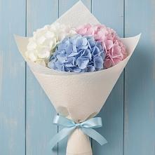 Букет цветов из:  Гортензия в Чебургольской