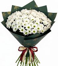 Букет цветов из:  Хризантемы #REPLACE_PRED# Чебургольской