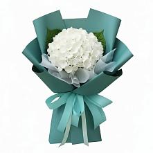 Букет цветов из:  Гортензия в Чебургольской
